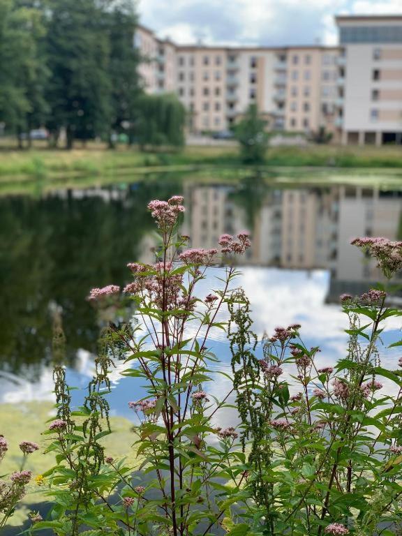 Europa22 Apartament "Sen Jak W Pieciogwiazdkowym Hotelu" - Centrum Miasta Томашув-Мазовецки Экстерьер фото